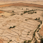 Europe's Sizzling Summer: Fifth Heat Wave Brings Drought to 50% of Continent — AI-generated editorial illustration